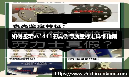 如何鉴定vs1441的真伪与质量标准详细指南